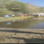 菲律宾小型飞机坠毁 邦阿西楠2人遇难-博彩社区-博彩论坛