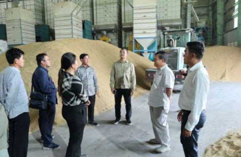 火灾频发：农业银行行长呼吁碾米厂加强防范并投保-博彩社区-博彩论坛
