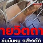 泰国 裸体男深夜强奸怀孕母猪-博彩社区-博彩论坛