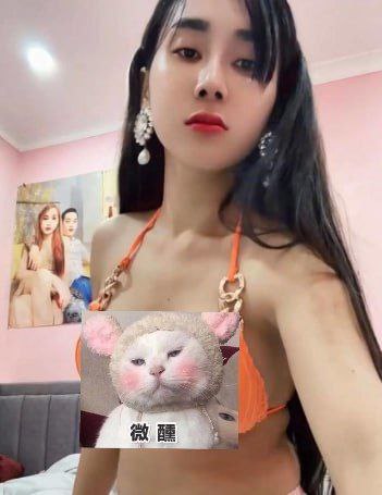 柬埔寨简讯 变性人发布不雅视频，妇女事务部紧急介入训诫-博彩社区-博彩论坛