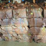 特种巡警部队成功查获了8百万颗兴奋剂药丸-博彩社区-博彩论坛