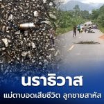 泰南陶公一天发生2起枪击事件!致4死多伤!-博彩社区-博彩论坛