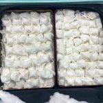 泰男走私近200枚濒危鸟蛋被香港当局查获逮捕!-博彩社区-博彩论坛