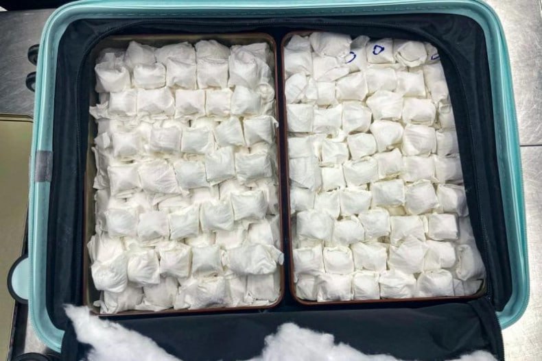 泰男走私近200枚濒危鸟蛋被香港当局查获逮捕！-博彩社区-博彩论坛