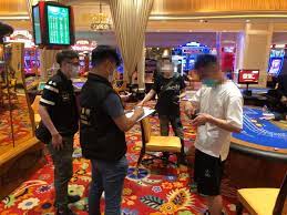 新手30天成长路线图：从零到一的蜕变旅程-博彩社区-博彩论坛